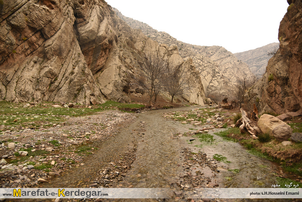 رودخانه های رشته کوه هزارمسجد